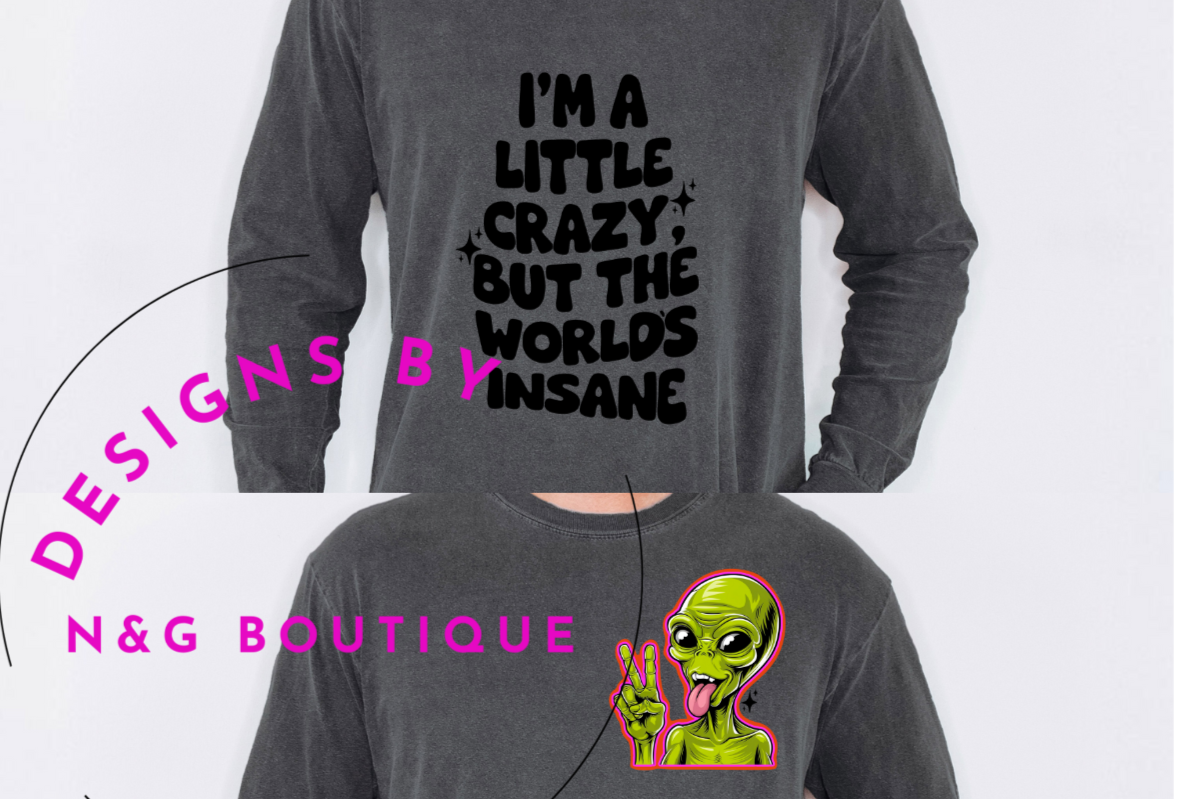 I AM A LITTLE CRAZY BUT THE WORLD IS INSANE FRONT POCKET AND BACK #650