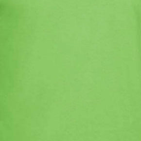 LIME G640 SOFTSTYLE UNISEX T-SHIRT 4.5 OZ
