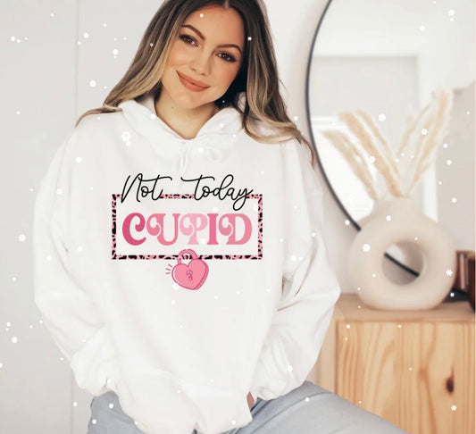 NOT TODAY CUPID #0192 (VALENTINE)