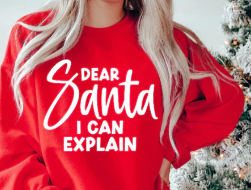 #1070 DEAR SANTA I CAN EXPLAIN