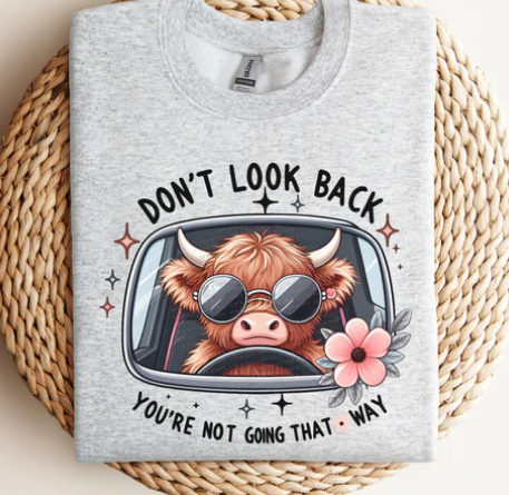 #1035 DONT LOOK BACK YOUR NOT GOING THAT WAY GLITTER