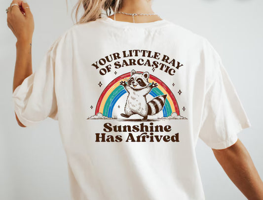 Your little ray of sarcastic # 498 Available in Sublimation or DTF Just Pick Your Shirt