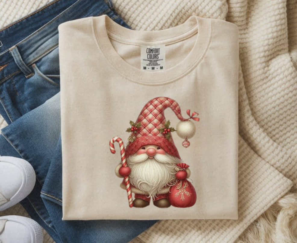 #915 Christmas gnome ￼