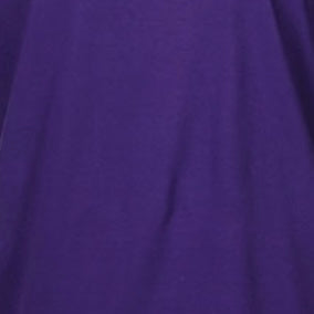 PURPLE GILDAN G640 SOFTSTYLE UNISEX T-SHIRT 4.5 OZ