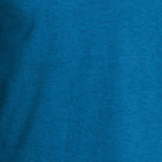 ANTIQUE SAPPHIRE G640 SOFTSTYLE UNISEX T-SHIRT 4.5 OZ