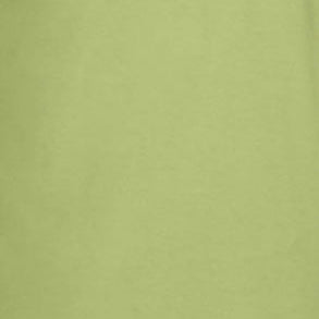 KIWI GILDAN G640 SOFTSTYLE UNISEX T-SHIRT 4.5 OZ