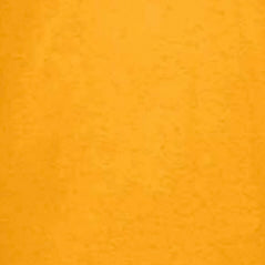 GOLD GILDAN G640 SOFTSTYLE UNISEX T-SHIRT 4.5 OZ