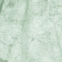 FERN Comfort Colors 1745 Adult Heavyweight Color Blast T-Shirt